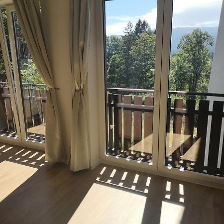 Wrzos Karkonoszy Apartment Szklarska Poreba Bagian luar foto